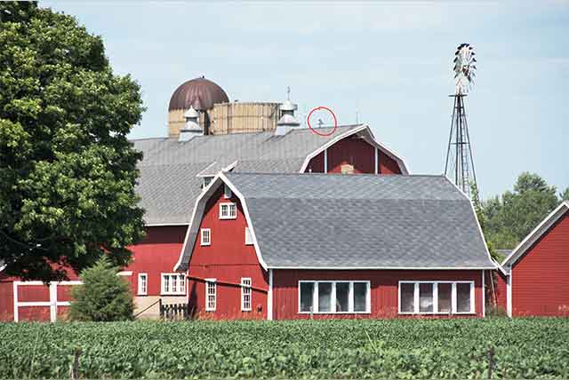 Rural Farm